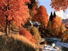 Logan Valley
