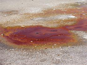hot spring puddle