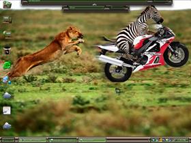 2FastExtremeZebra