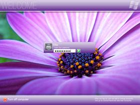 Vista Purple