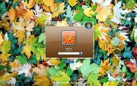 Splash Brown LogonVista