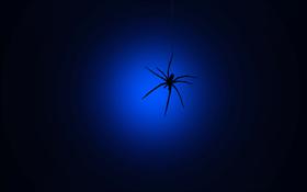 In The Dark