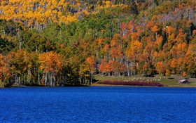 Kolob Fall III