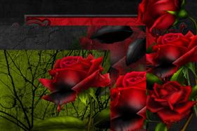 Bloodware WS Pack 1