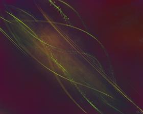 Rainflow V.2