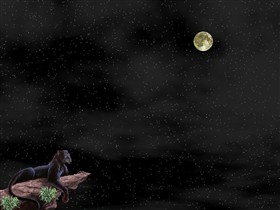 Night and the Hunter