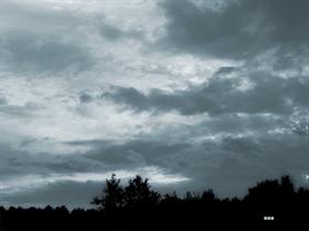 Cold Morning