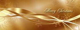 GOLD CHRISTMAS MULTI DISPLAY