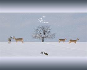 White Xmas 2