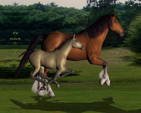 Horse Run