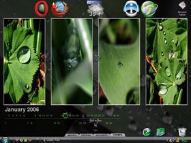 Photo Fluid on Flora