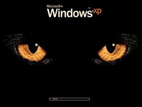 Eyes
