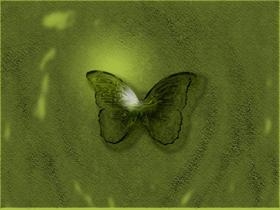 Green Butterfly