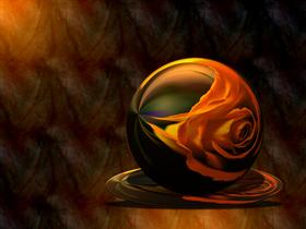 ORB WS_vista