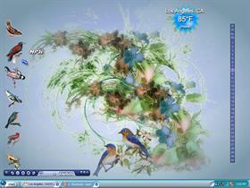 Birds