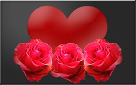 Roses of love Widescreen
