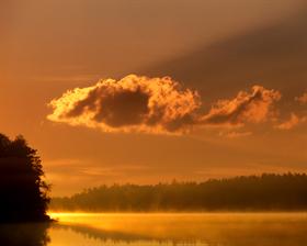 Misty