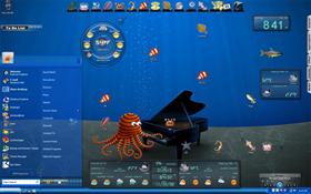 Sea Life