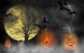 Pumpkins