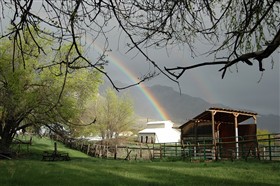 Under the rainbow