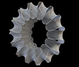 Coral Cog Fractal