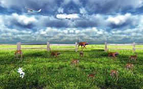 days of hunting