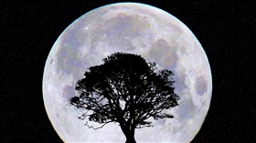 MoonRise
