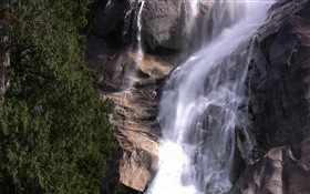 The Fall