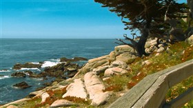 Another Coast