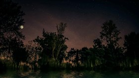 Moonlit_Everglade
