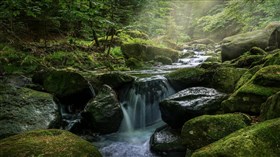 Small_Secluded_Stream