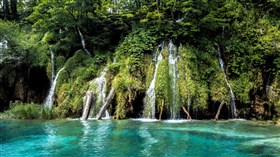 Aqua_Jungle_River