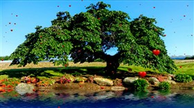 Scenic Garden Pond_2