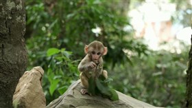 Sooo_Cute
