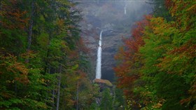 Gorgeous Autumn Forest Falls