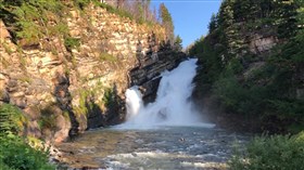 Shallow Stream Forest Falls