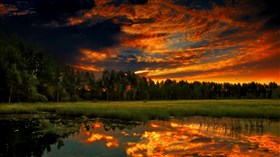 Gorgeous  Cloudy Suunset