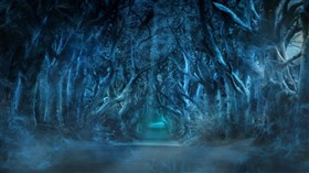 Enchanted Forest