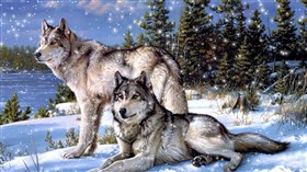 Snow Wolf