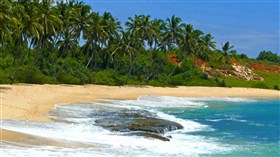 Tropical Beach
