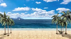 The Beach