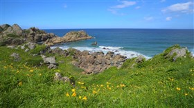 Spring Shore