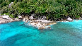 Kool Island