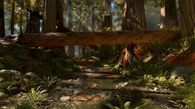 Forest Stream
