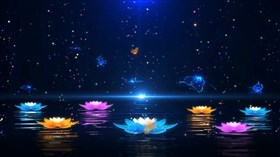 Colors of the Night