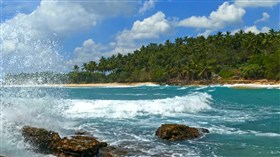 4K Tropical Island Waves