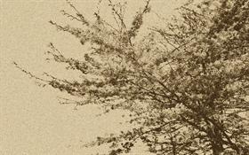 Branching Out