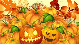 Pumpkin Patch