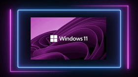 Win11FP