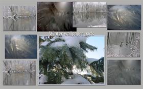 Winter wallpapers